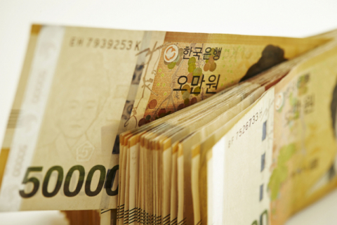 오만원권 지폐 이미지