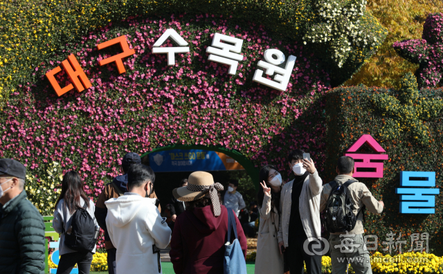 31일 대구수목원을 찾은 시민들이 형형색색 국화로 단장한 모형작품 등을 감상하고 있다. 내달 14일까지 열리는 국화전시회는 청정 대구를 상징하는 수달 캐릭터 