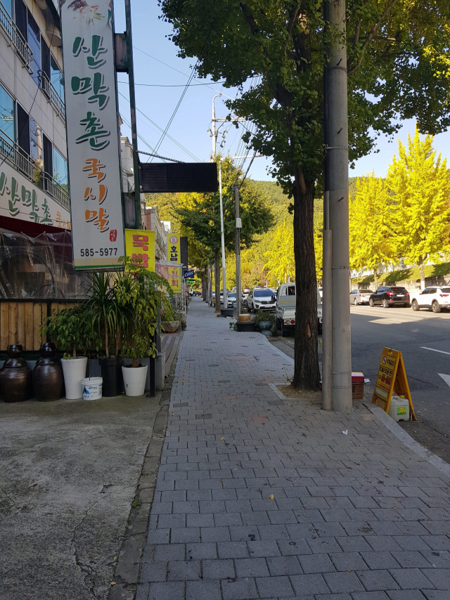 대구 달서구 이곡동 배꽃향골목. 변선진 기자