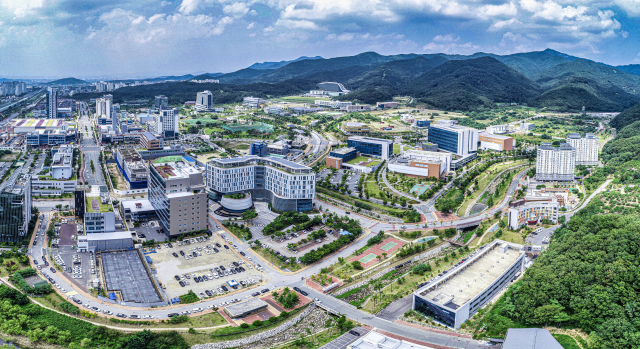 대구첨복단지 전경. 재단 제공