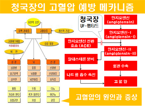 김순동 대구가톨릭대학교 식품산업학부 교수
