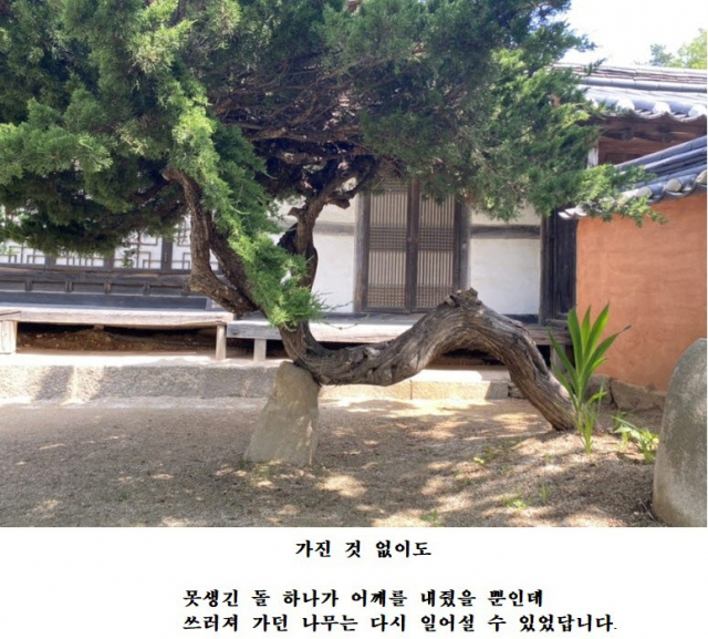 대상을 차지한 김성미 씨의 작품, 영주시 제공