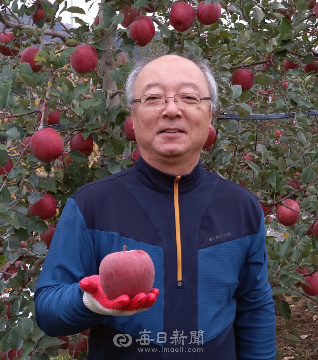 경북 안동에서 사과농사를 짓고 있는 새들농원 윤혁 대표가 자신이 재배한 안심 사과를 들어 보이고 있다. 김영진 기자