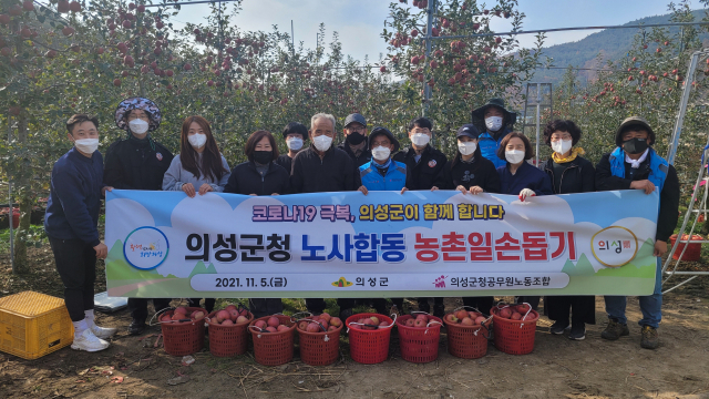 경북 의성군청과 공무원노조는 과수 농가에서 사과 수확 일손을 도왔다. 의성군 제공