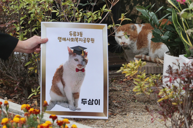 10일 대구 달서구 두류3동 행정복지센터 명예사회복지공무원으로 임명된 길고양이 