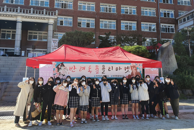 교내에서 반려동물 플리마켓을 운영한 대구보건고 반려동물케어과 학생들 모습. 대구보건고 제공