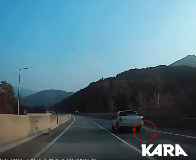 지난 12일 동물권행동 카라는 