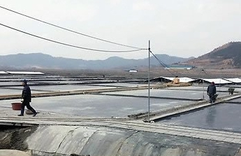 전남 신안군 한 염전. 연합뉴스