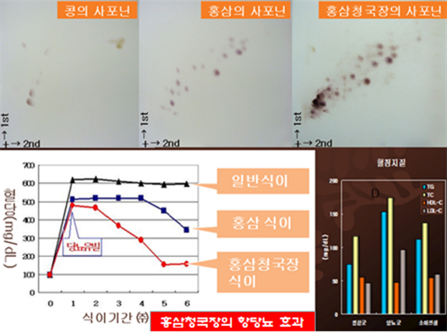 홍삼청국장 만드는 법