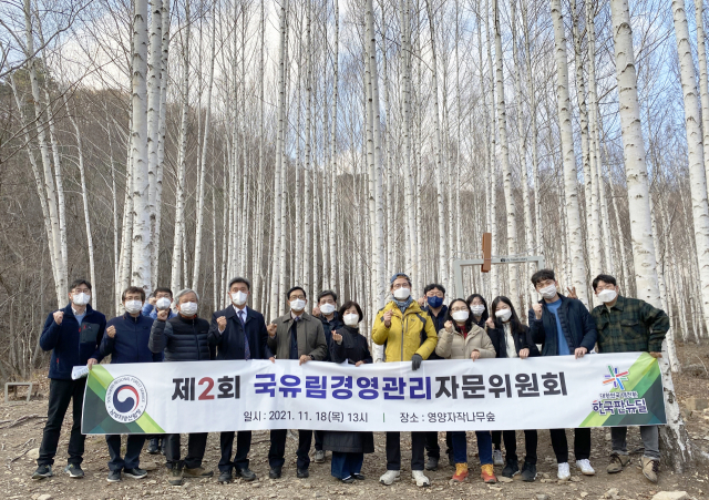 남부지방산림청은 18일 영양군 석보면 두들마을과 수비면 자작나무숲에서 