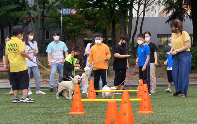 동물매개놀이 도우미견은 대상자와 유대감을 형성. 육체적, 정신적 질환을 치료하는 일을 담당한다