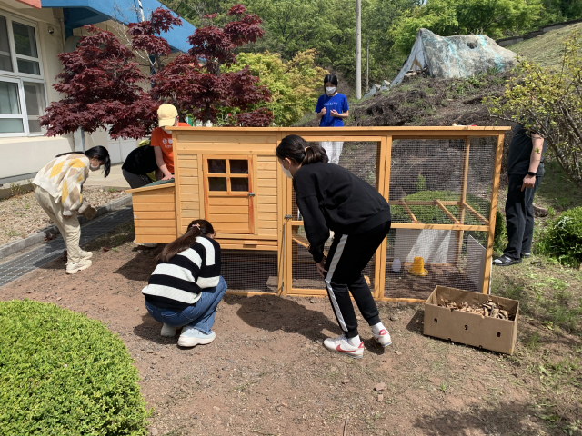 경북 안동에 위치한 신성초등학교 학생들이 체험 교육의 일환으로 닭장 만들기를 하고 있다. 신성초는 교육부가 추진한 