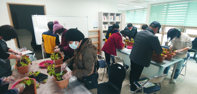 대구 한 아파트 주민들이 도시농업관리사에게 채소 모종 심기에 대한 체험 교육을 받고 있다. 대구시 제공