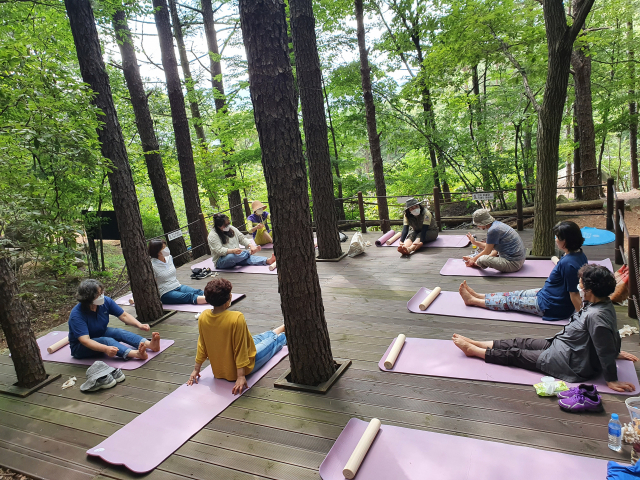 성주가야산서 진행된 숲치유프로그램 