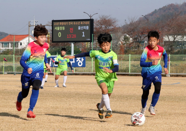 2021 화랑대기 전국 유소년축구대회 모습. 경주시 제공