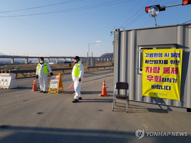 5일 충남 천안시 고병원성 조류인플루엔자(AI) 확진 판정을 받은 한 산란계 농장 주변에서 방역 관계자가 방역 작업을 위해 일부 도로를 차단하고 있다. 연합뉴스