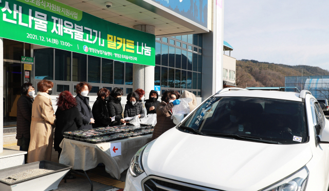 영양군우리음식연구회가 혼밥족을 대상으로 사전 신청을 받아 지역 특산물인 산나물을 활용해 만든 