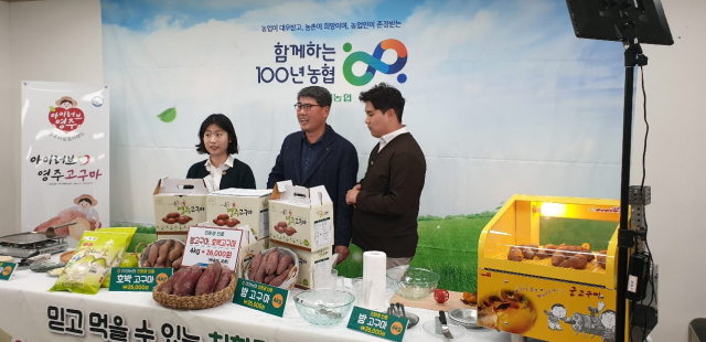 손기을 안정 농협 조합장과 직원들이 라이브 방송을 통해 친환경 농산물을 판매하고 있다. 안정 농협 제공