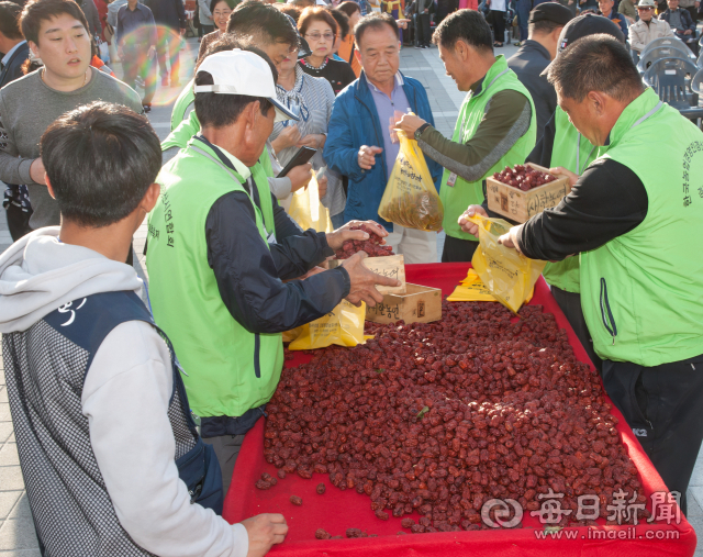 제11회 경산대추축제가 오는 22~23일 경산생활체육공원 어귀마당에서 열린다. 사진은 경산대추축제장에서 대추를 판매하는 모습. 매일신문DB