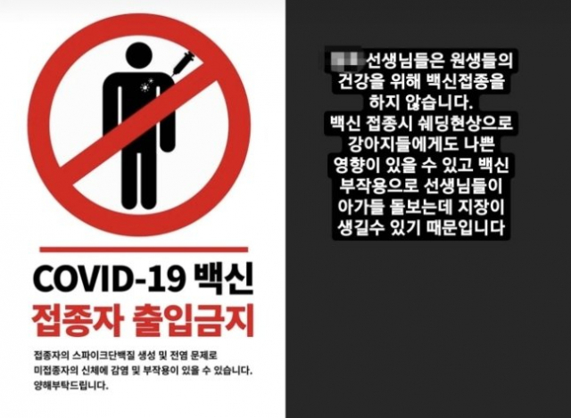 대구 한 애견유치원이 SNS에 