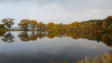 가을 단풍이 반곡지에 반영된 가을의 저수지. 독자 김진택씨 제공