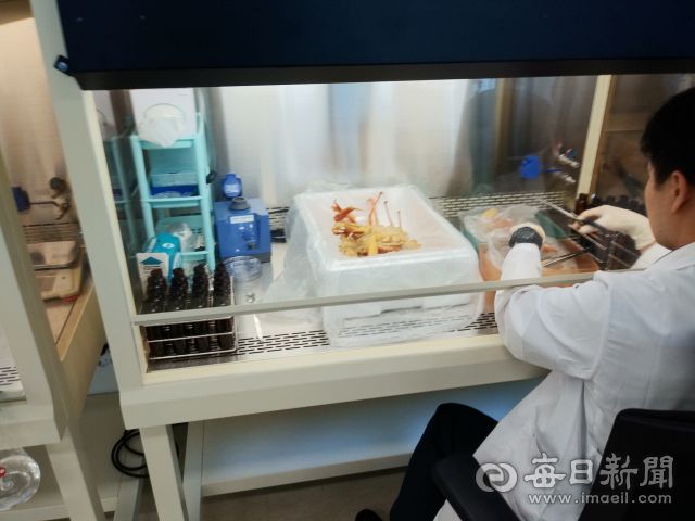 포항시 수산물 품질관리 연구소가 지방자치단체 최초로 수산물에 대한 자가품질위탁 시험·검사기관으로 지정됐다. 포항시 제공