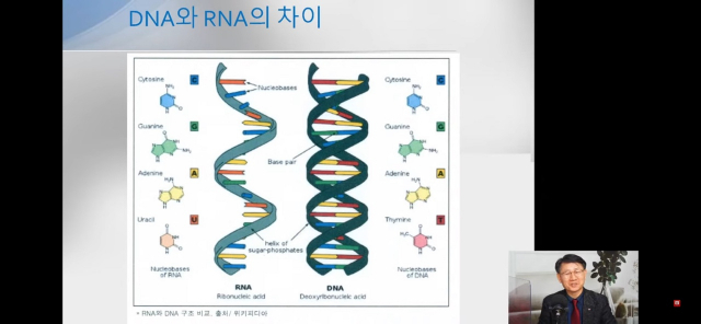 RNA 구조의 코로나 바이러스. DNA 구조에 비해 변이가 자유롭다. TV매일신문 제공