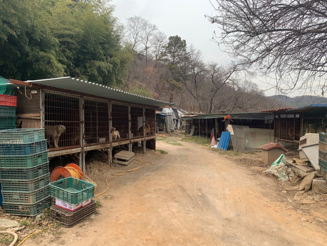 동물학대 및 불법 도축 의심 신고가 접수된 칠곡 동명면의 한 개 사육장. 독자 제공