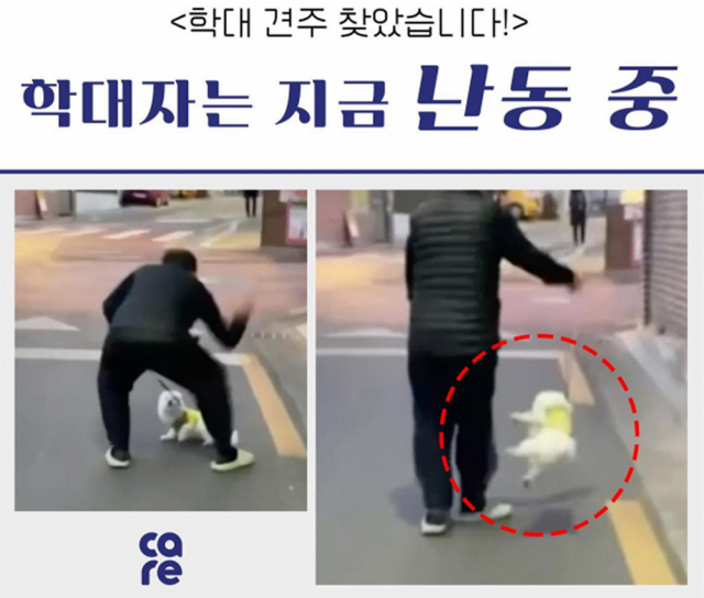 동물보호단체 케어 SNS