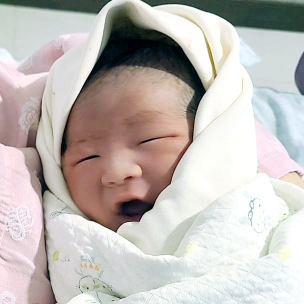 전한솔아가
