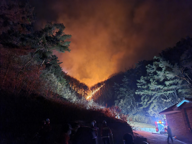 영주시 평은면 오은리에서 발생한 산불이 주변 임야를 태우며 확산하고 있다. 영주시 제공
