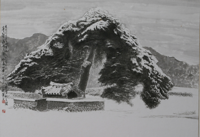 행곡리 처진 소나무. 수묵 담채, 59cmx41cm 신상구 작