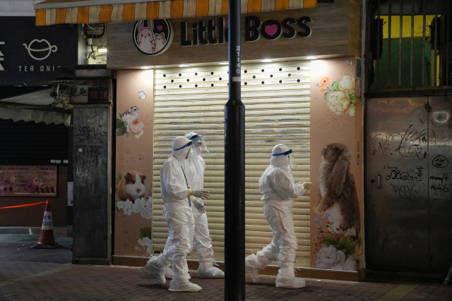 홍콩 어업농업자연보호부(AFCD) 직원들이 18일 햄스터로부터 인간이 신종코로나바이러스감염증(코로나19) 델타 변이에 감염된 것으로 의심되는 사례가 발생한 한 애완동물 가게를 조사하고 있다. 홍콩 당국은 약 2천마리의 햄스터를 안락사 시키기로 결정하고 모든 애완동물 가게와 소유주들에게 안락사를 위해 햄스터를 인계하라고 밝혔다. 이와 함께 햄스터의 수입과 판매를 즉시 중단하라고 명령했다. 연합뉴스