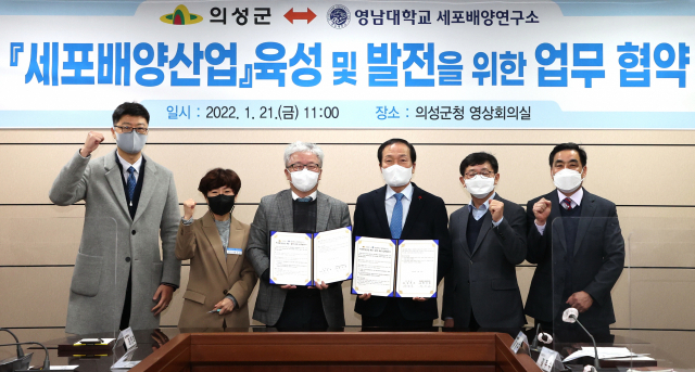 경북 의성군과 영남대학교 세포배양연구소는 업무 협약을 체결하고 의성 세포배양산업지원센터에 세포배양연구소 분원을 개설키로 했다. 의성군 제공