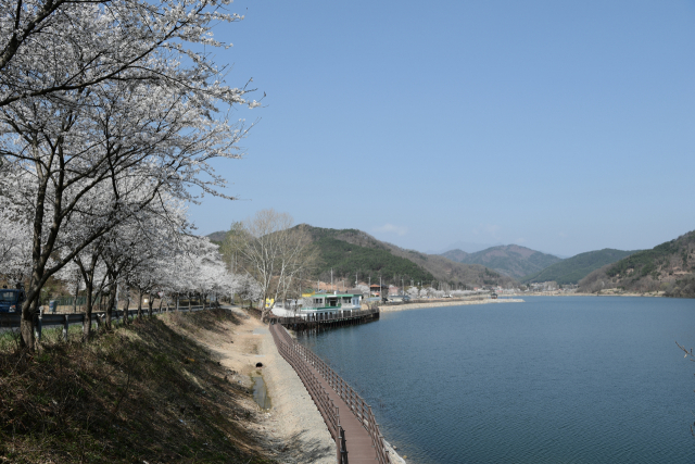 중화저수지의 봄.