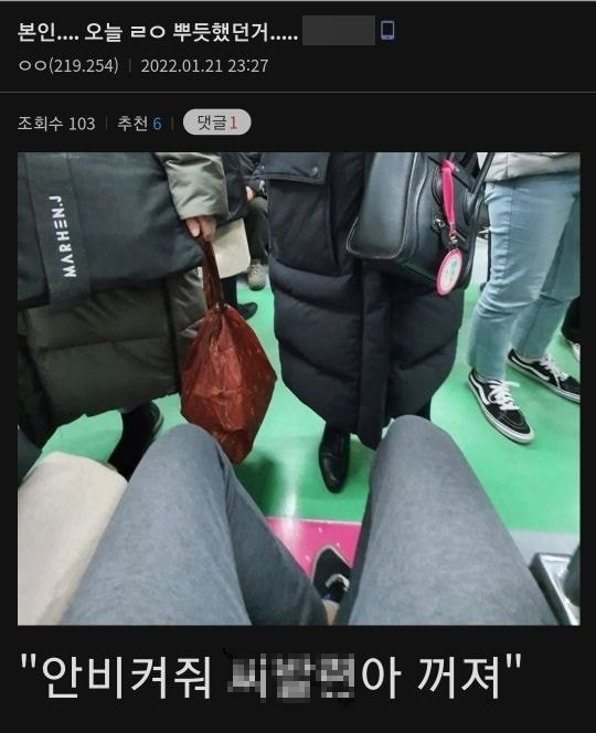 임산부 바로 앞에서 임산부 배려석을 차지한 남성. 사진=온라인 커뮤니티