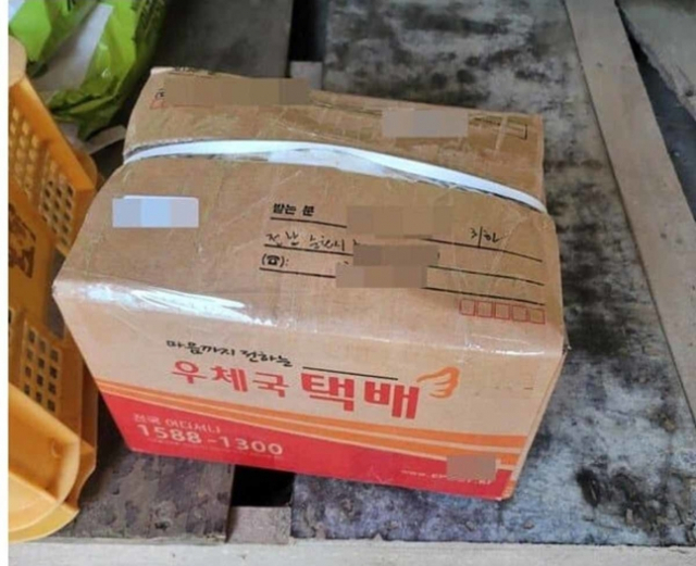 택배로 보내진 유골. 온라인 커뮤니티 캡쳐