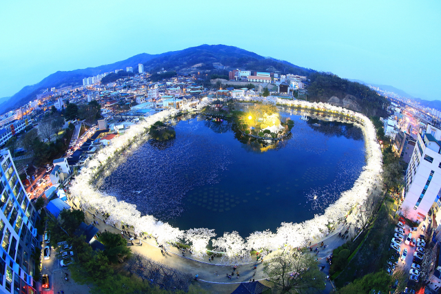봄 연화지 야경. 김천시 제공