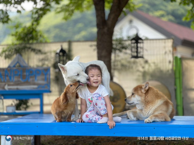 대상작-우리집 막내 예은