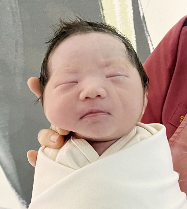 유솔이아가