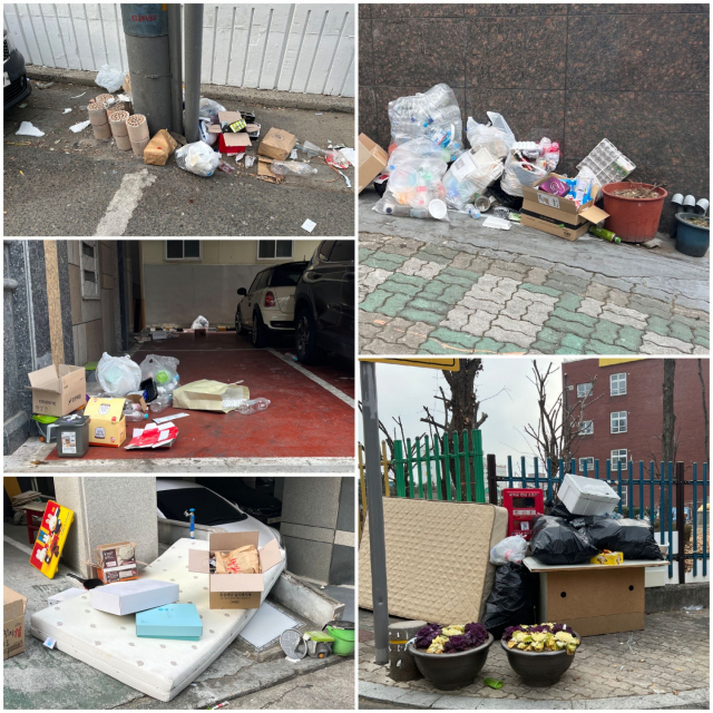 설 연휴 막바지인 지난 2일 경북대학교가 있는 북구 복현동 일대 대학가를 둘러본 결과 골목 곳곳마다 쓰레기 더미가 쌓여 있었다. 구민수 기자