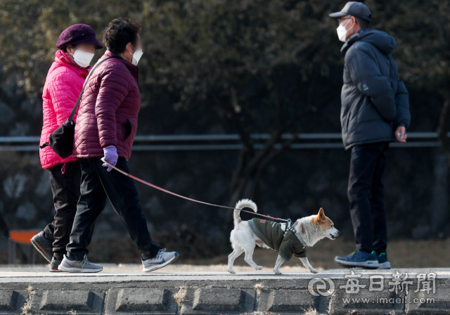 9일 대구 두류공원에서 한 시민이 목줄을 채운 반려견을 데리고 산책을 하고 있다. 11일부터 