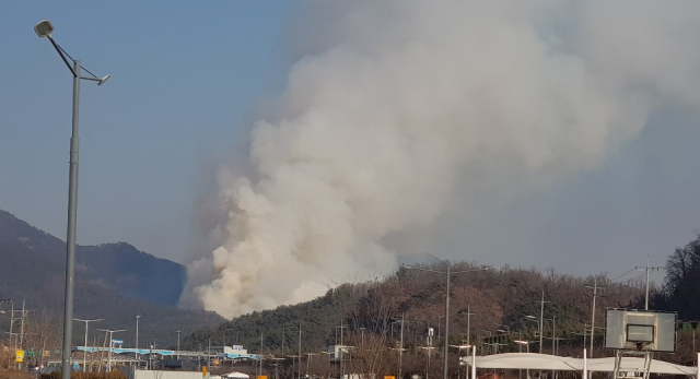 대구 동구 둔산동에서 원인을 알 수 없는 산불이 발생했다. 대구소방안전본부 제공