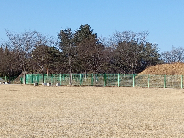 대릉원 북쪽 담장이 철거될 경우 인접한 원도심 봉황대 공원이 사람 친화적 녹지 공간으로 거듭나는 방안이 검토 되고 있다.