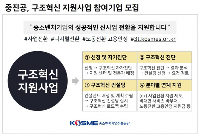중소벤처기업진흥공단의 구조혁신 지원사업 설명도. 중소벤처기업진흥공단 제공