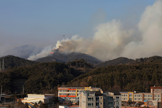 16일 오후 경북 영덕군 화천리 산불 현장에서 소방헬기와 군 헬기가 물을 뿌리며 산불을 진화하고 있다. 김영진 기자 kyjmaeil@imaeil.com