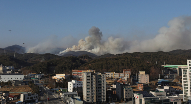 지난달 16일 오후 경북 영덕군 화천리 산불 현장에서 소방헬기와 군 헬기가 물을 뿌리며 산불을 진화하고 있다. 김영진 기자 kyjmaeil@imaeil.com