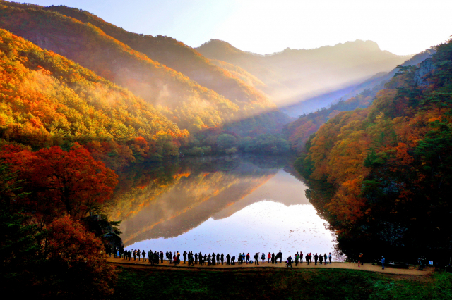 주산지의 가을을 보기 위해 모인 관광객들. 청송군 제공