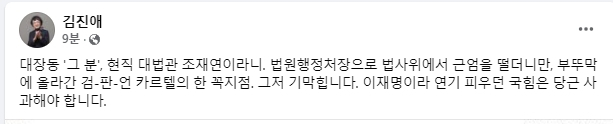 김진애 페이스북