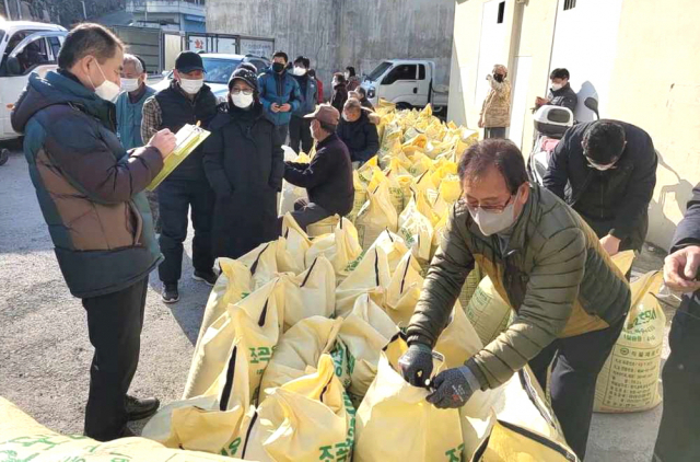 경주시가 경북에서는 처음으로 관내 삼광벼 재배 농가에 15억원을 지원한다. 경주시 제공